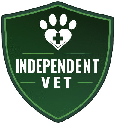 Independent Practice